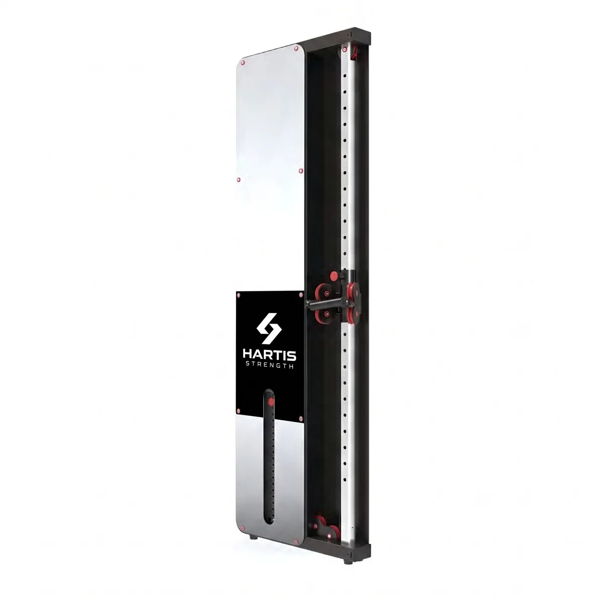 WALL MOUNTED FUNCTIONAL TRAINER