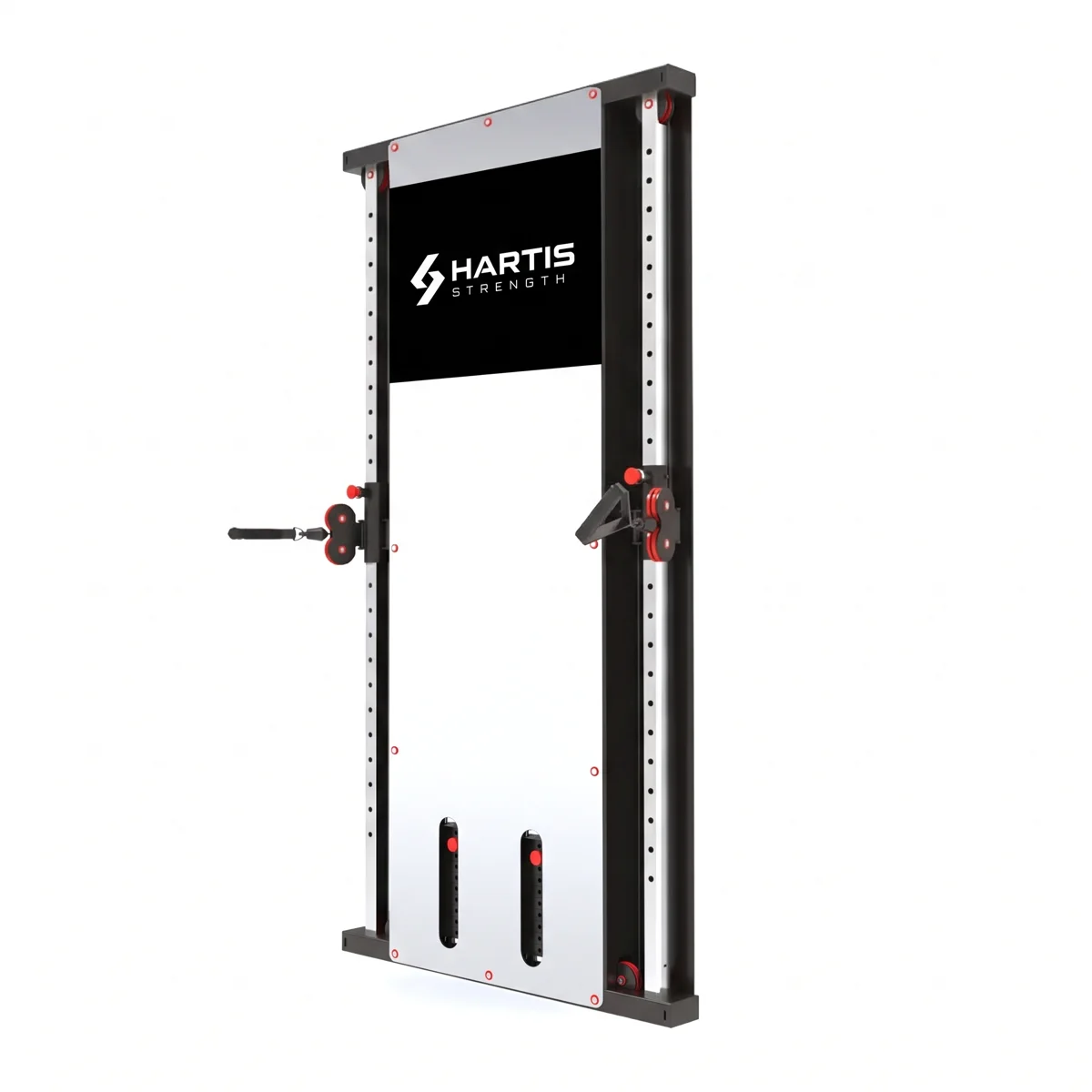 WALL MOUNTED FUNCTIONAL TRAINER