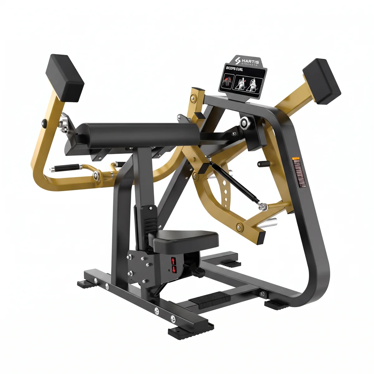BICEPS CURL