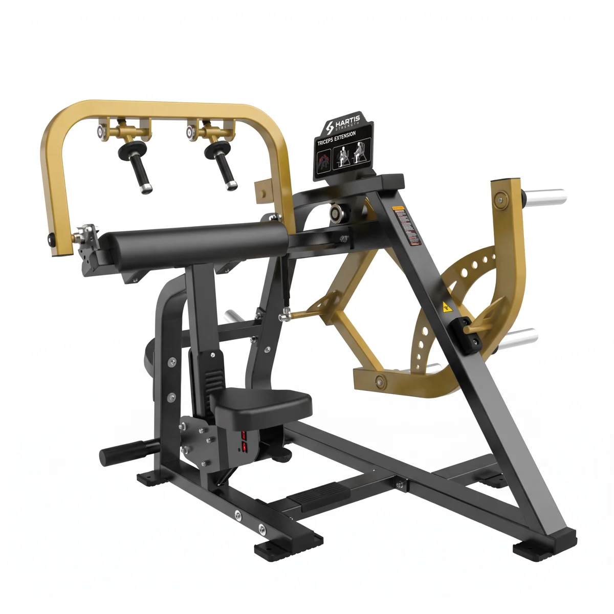 TRICEPS EXTENSION
